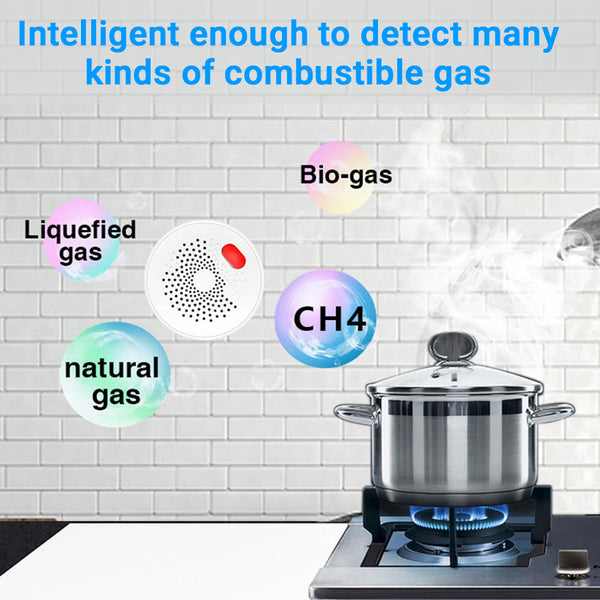 IFITech Plug and Play WiFi Smart LPG Gas Detector Alarm | App Control