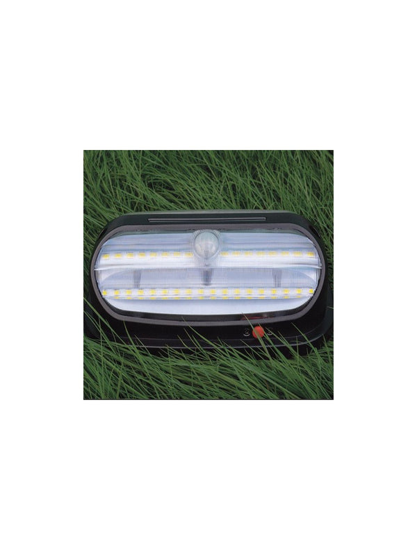 IFITech Solar Beetle Motion Sensor Wall Light