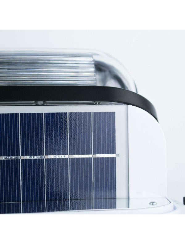 IFITech Solar Beetle Motion Sensor Wall Light