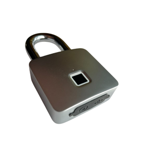 Fingerprint lock on a white background