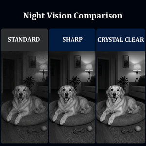 IFITech 4MP Dual Lens WiFi Bulb Camera | Indoor Security and Color Night Vision