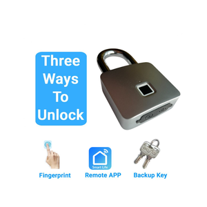 Lock with fingerprint, remote app, and backup key icons on a white background