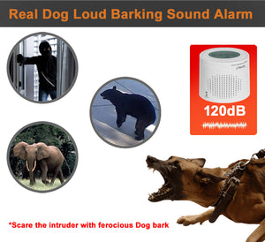 IFITech Dog Barking Sensor Alarm