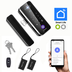 IFITech WiFi Smart Glass Door Lock with Fingerprint & 3D Face Recognition | 8 Ways to Unlock – Face ID, Fingerprint, PIN, Virtual Password, RFID Card, Remote Control, Mechanical Key and Mobile App